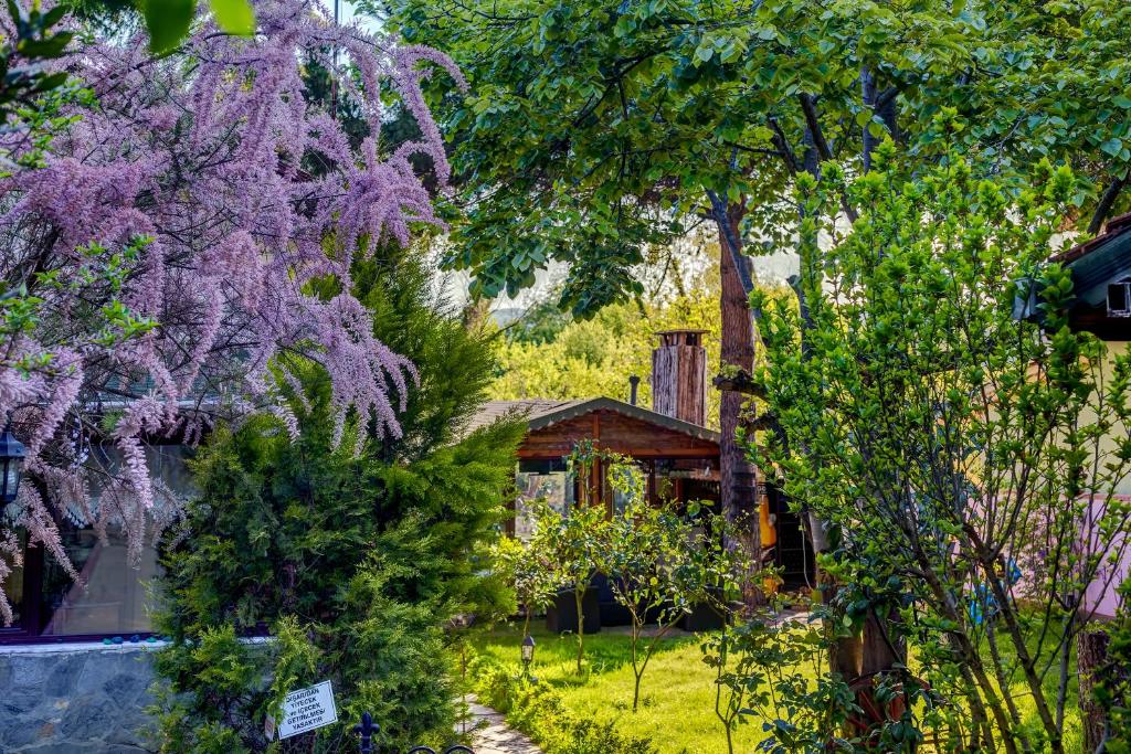 a garden with purple trees and a house at Park Mandalin Hotel - Adult only in Ağva