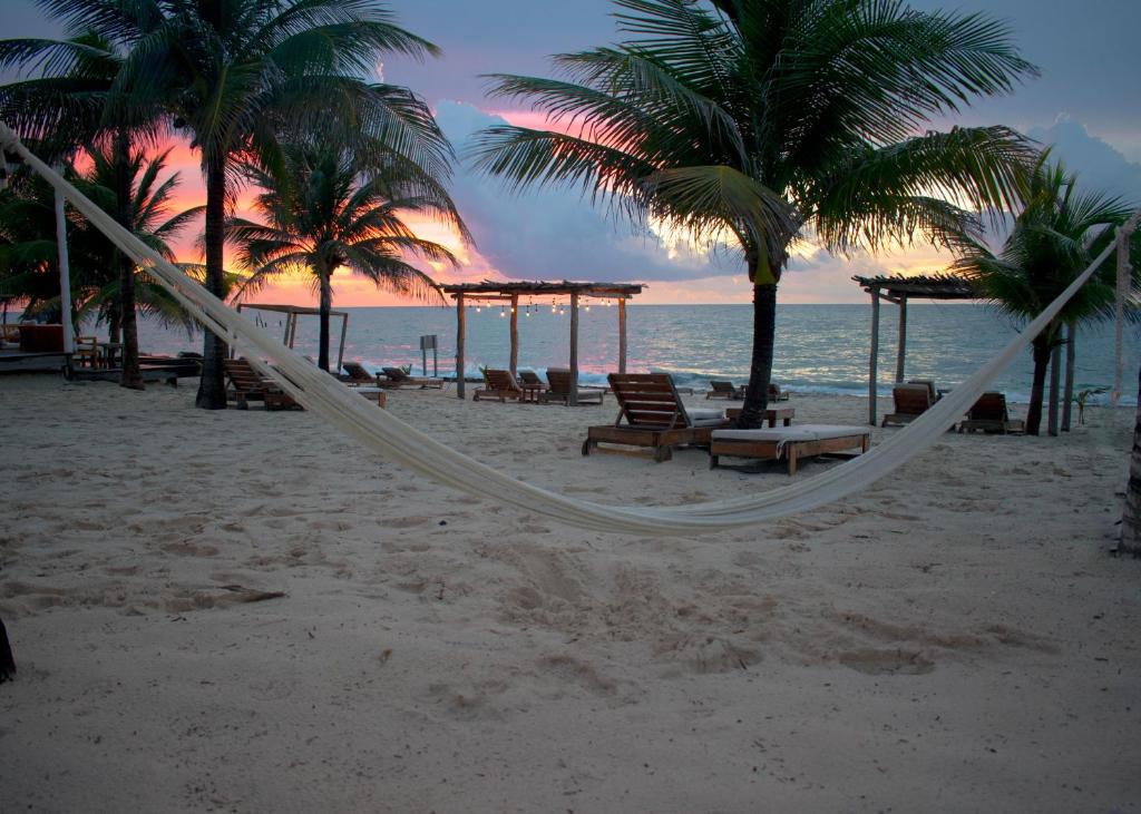 una hamaca en una playa con palmeras y el océano en Punta Blanca Beach House, en Costa Mujeres