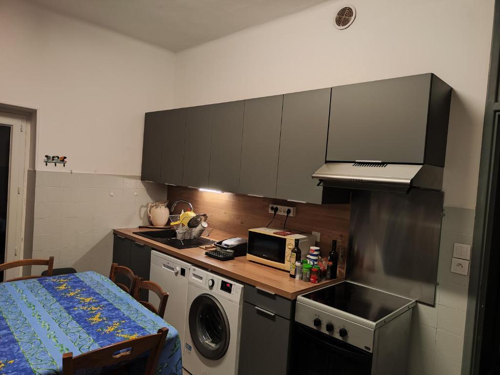 uma cozinha com uma máquina de lavar roupa e um micro-ondas em Chambre privée Place Garibaldi nice em Nice