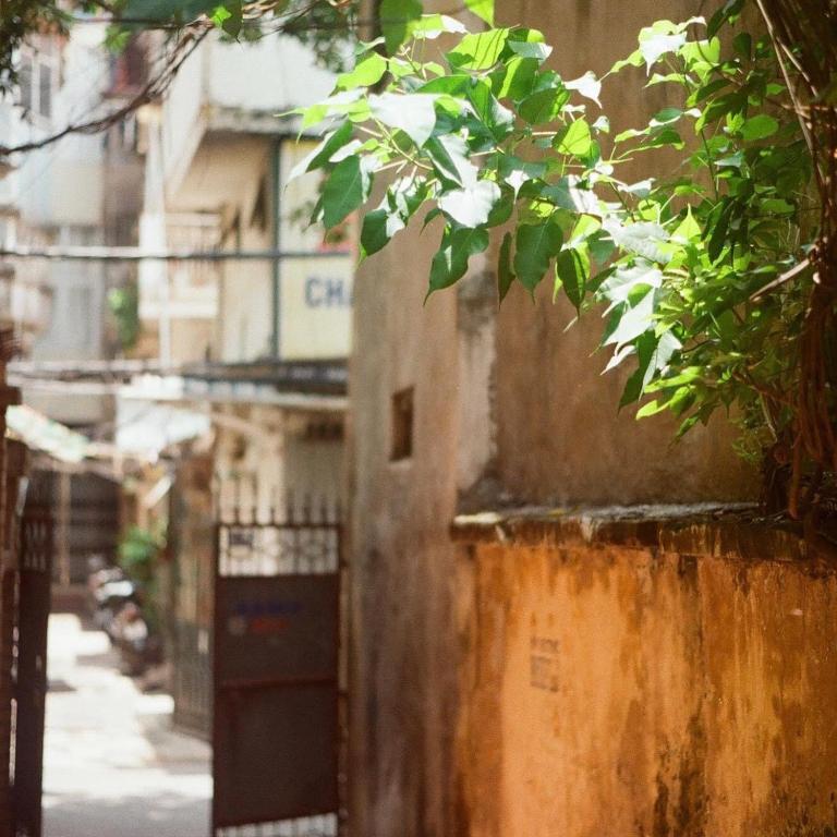 Azalea Apartment - 12