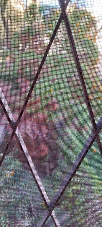 a screened in window with a view of a yard at hostel Paso de los Andes in Cordoba