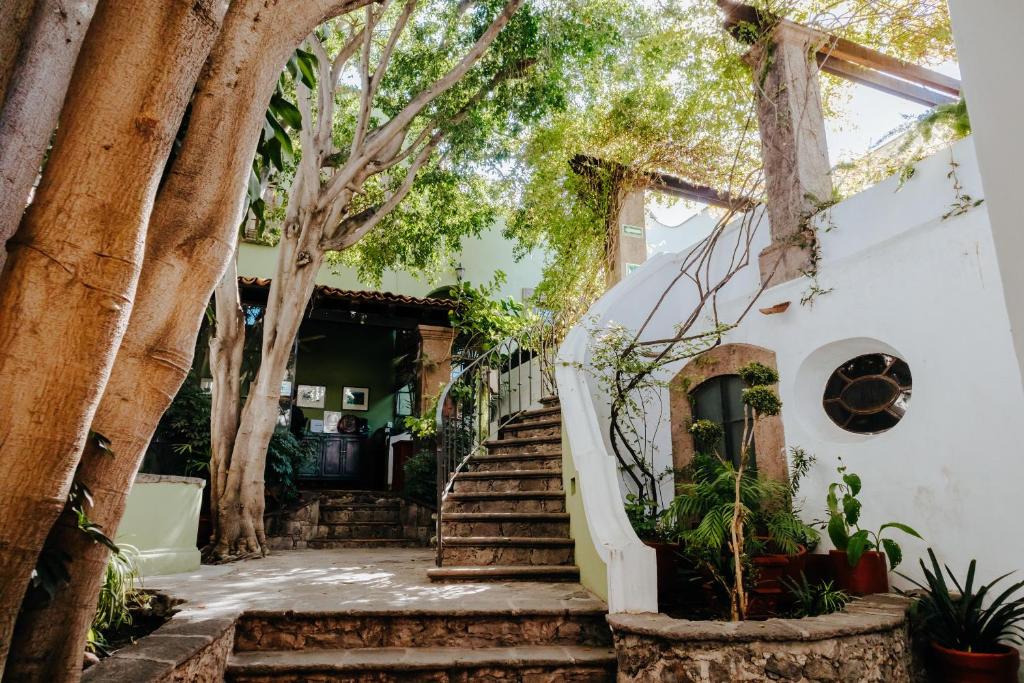una casa con escaleras y árboles delante de ella en Casa Quetzal, en San Miguel de Allende