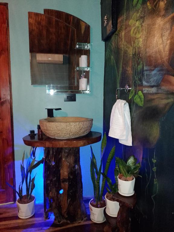 Fotografie z fotogalerie ubytování El Valle Mineral Springs v destinaci San Ramón