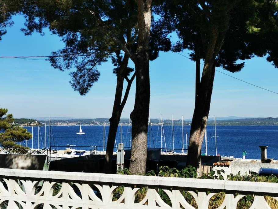 een uitzicht op een waterlichaam met twee bomen bij Maison T3 avec vue au bord de l’étang in Istres