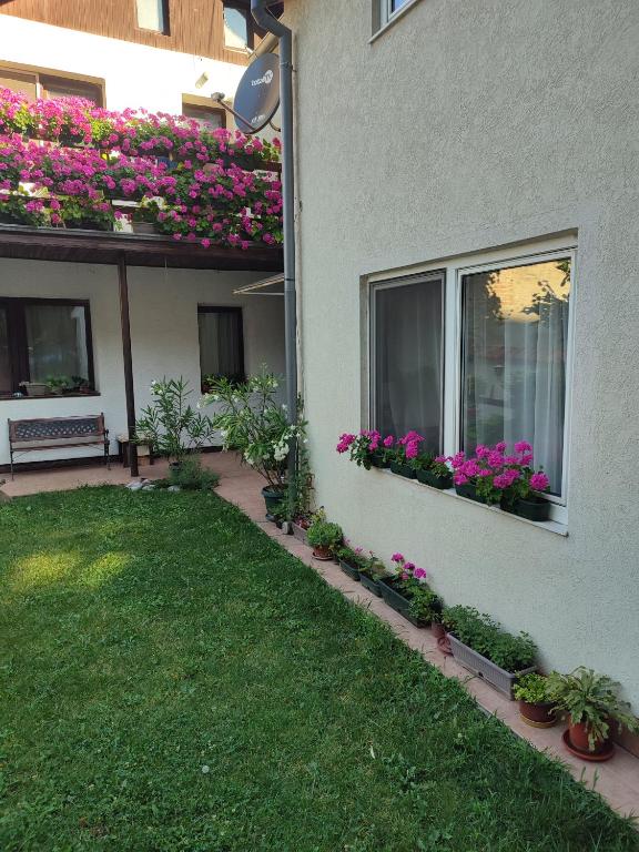 a house with flowers on the side of it at Apartman MITIĆ in Požarevac