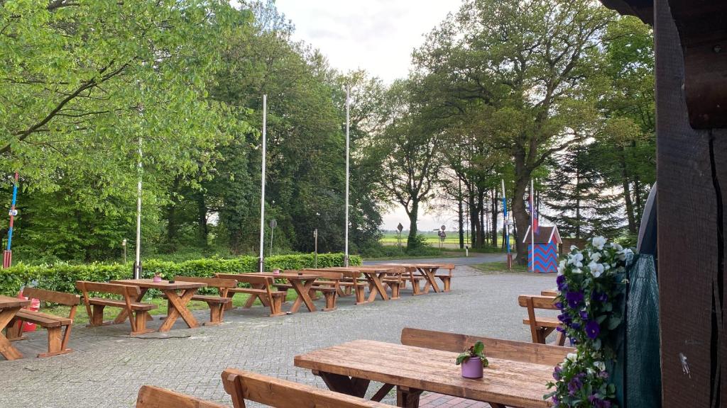 Zahrada ubytování Zur Schanze Holtgast-Apen