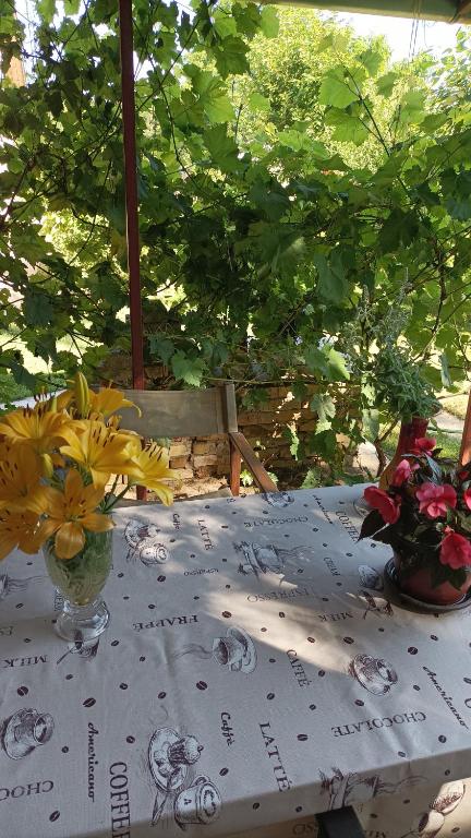 Un jardín fuera de sobe MAŠA