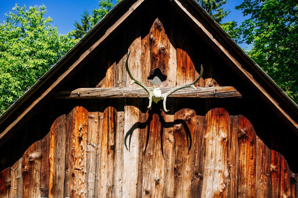 Fotografie z fotogalerie ubytování Waldhütte KOSAK - jetzt neu mit Bad & WC v destinaci Trofaiach