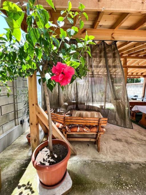 Fotografie z fotogalerie ubytování Guest House Italia v destinaci Kavarna