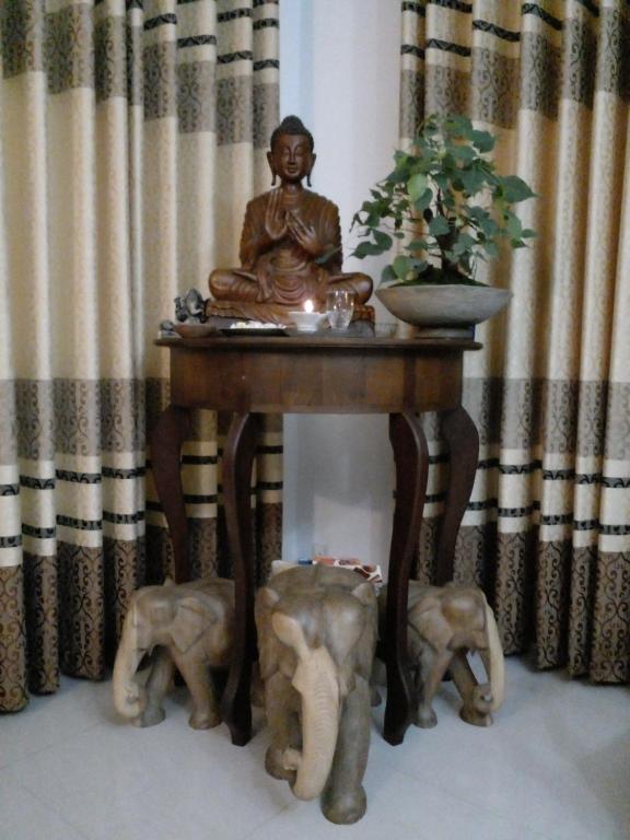 Domácí mazlíčci ubytovaní s hosty v ubytování Muthu Villa Sri Lanka