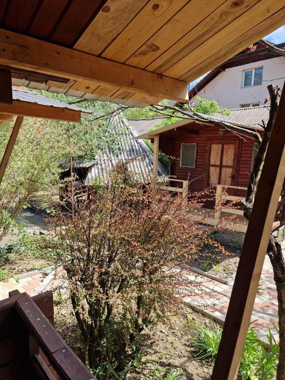 Zahrada ubytování Casa Jan B.