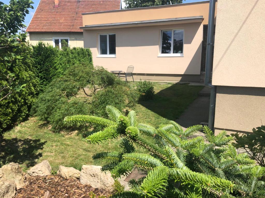 una casa con una planta delante de una casa en Relax 38 en Prievidza