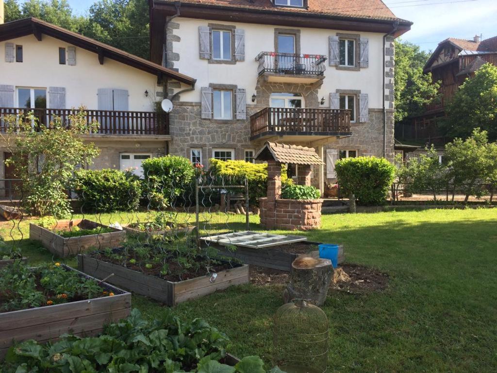 einen Garten vor einem großen Haus in der Unterkunft Aux Gîtes de l'Étang - Thannenkirch Bergheim in Thannenkirch