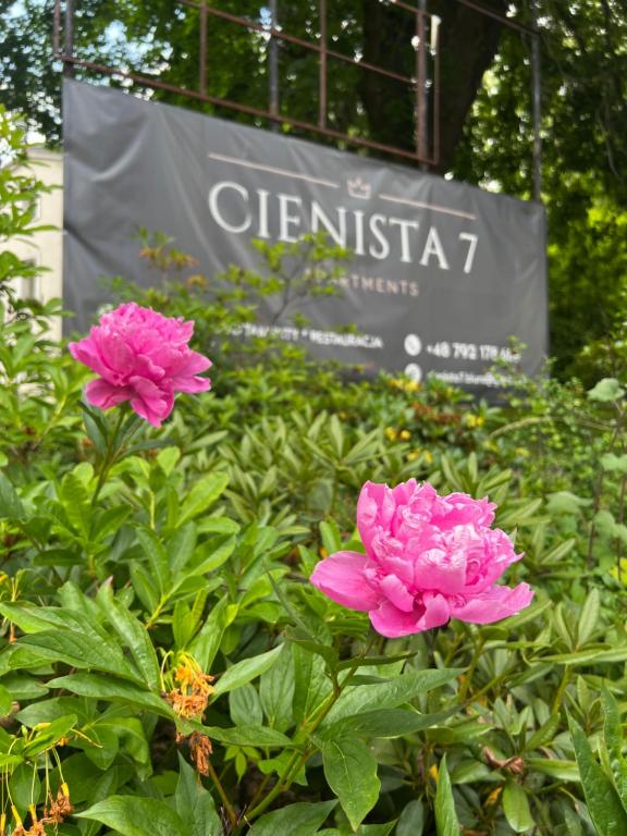Zahrada ubytování CIENISTA 7 APARTMENTS