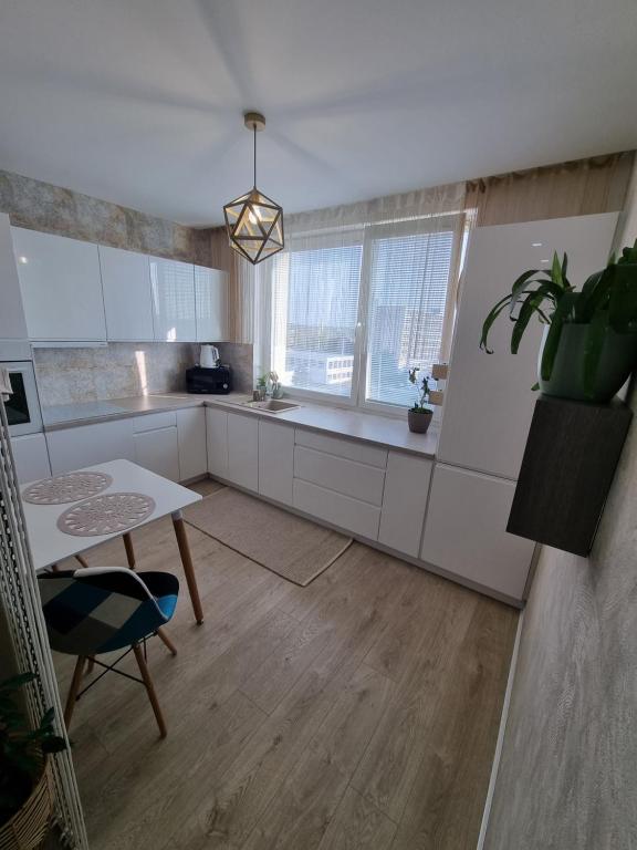 a kitchen with white cabinets and a table and a potted plant at ALPHA Apartman Malacky in Malacky