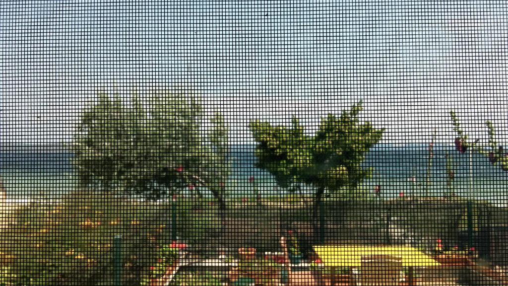 una ventana con vistas a un árbol y al océano en Rüzgar Hotel, en Canakkale
