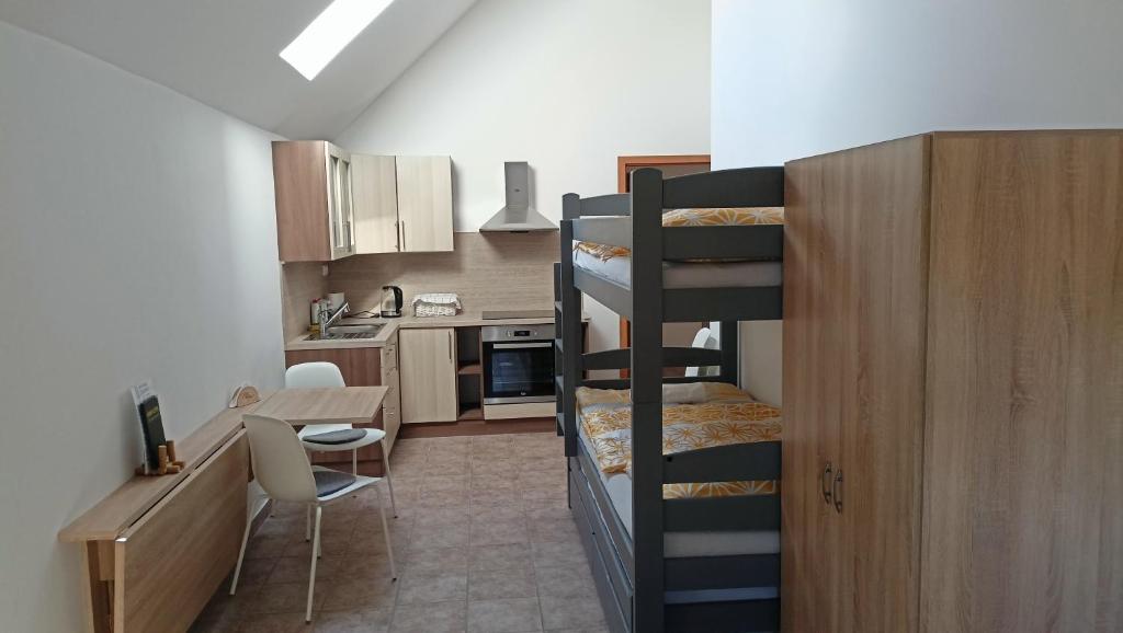 Cette petite chambre comprend des lits superposés et une cuisine. dans l'établissement Apartmán a vinný sklep - Víno Gallus, à Znojmo