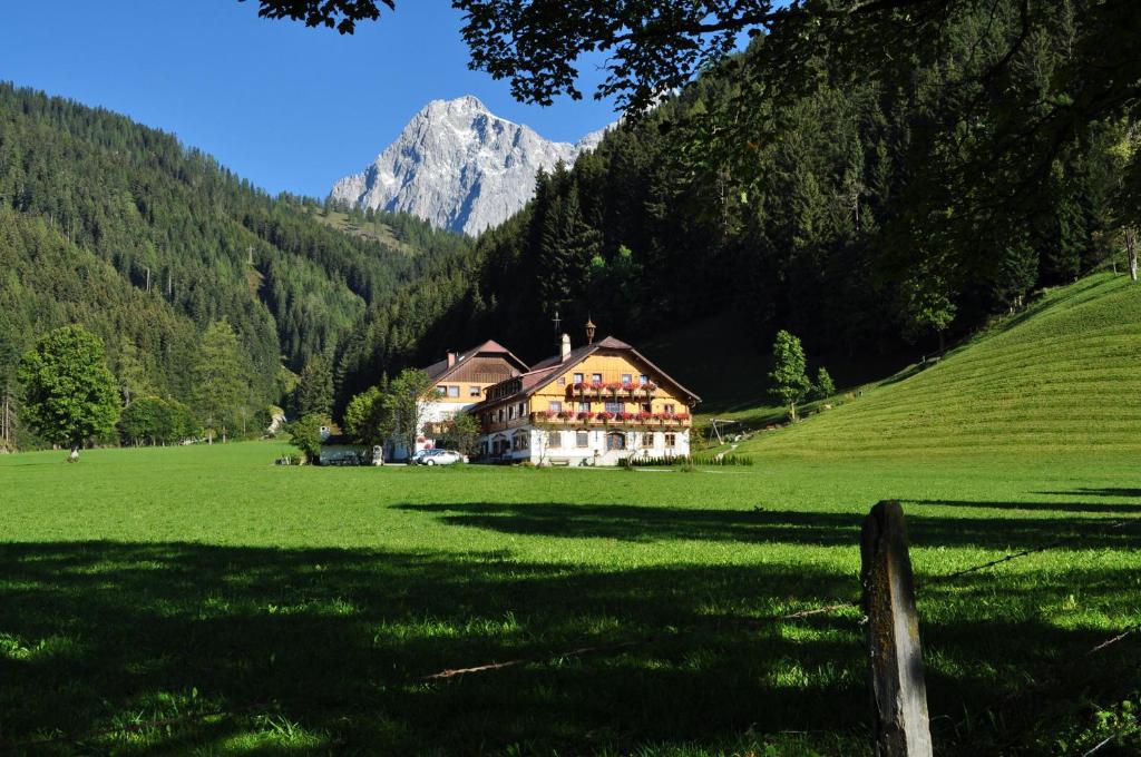a house in a field with a mountain in the background at Pension Glöshof in Ramsau am Dachstein