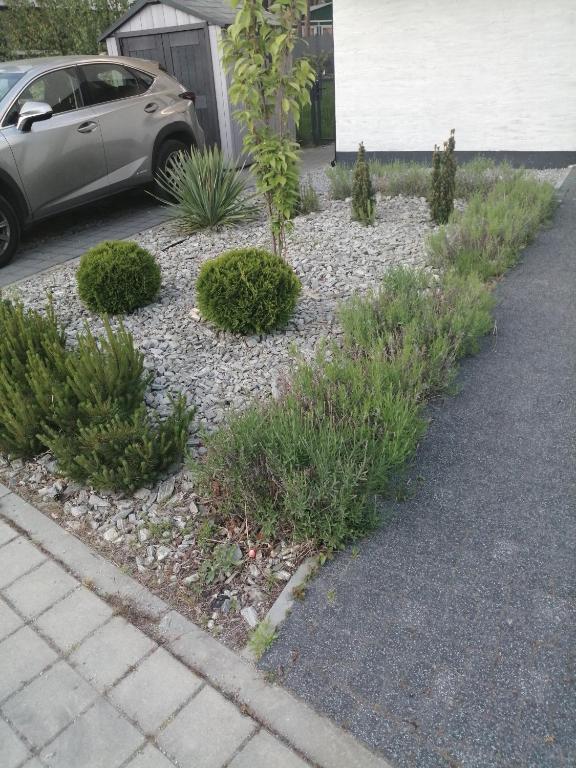 Zahrada ubytování Sosnowe Zacisze Apartament