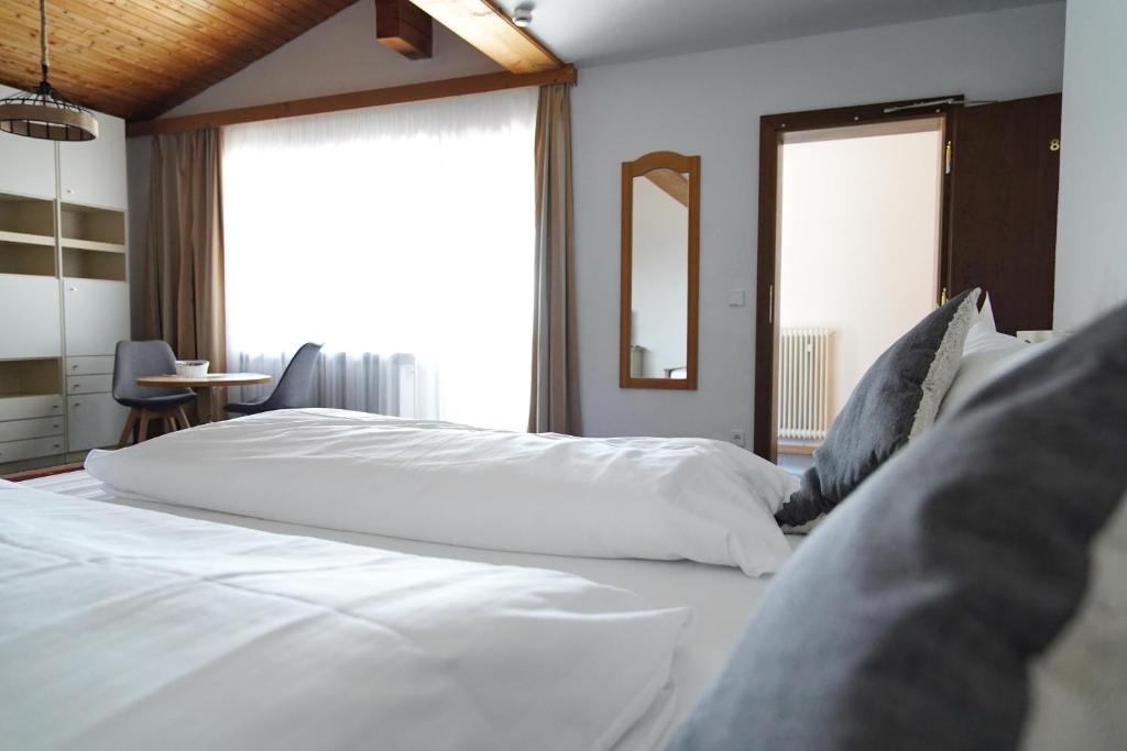 Alpen Hotel 