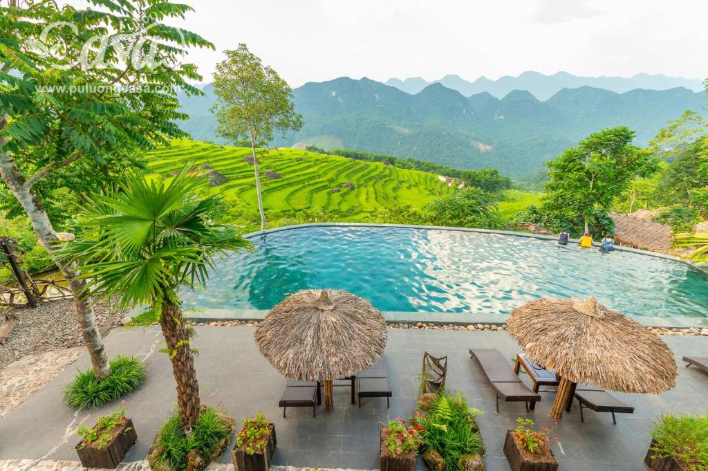 una piscina con 2 sombrillas, sillas y árboles en Puluong Casa Resort, en Hương Bá Thước