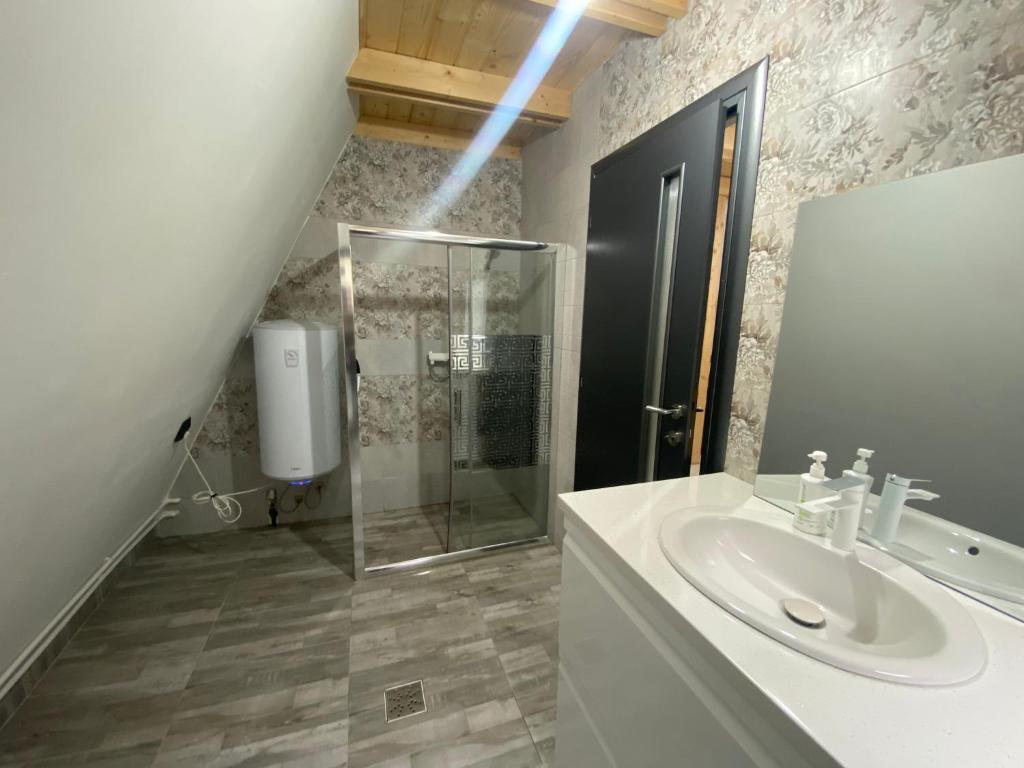 uma casa de banho com um lavatório e um chuveiro em Cabana A Morarului em Teiuş