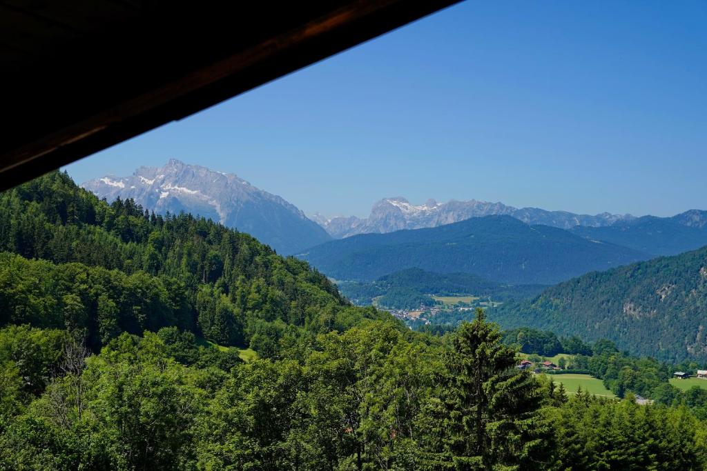 Alpen Hotel 
