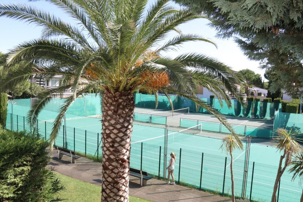 un palmier en face d'une piscine dans l'établissement Appartement cabine 908 Tennis Village 6 personnes, au Cap d'Agde