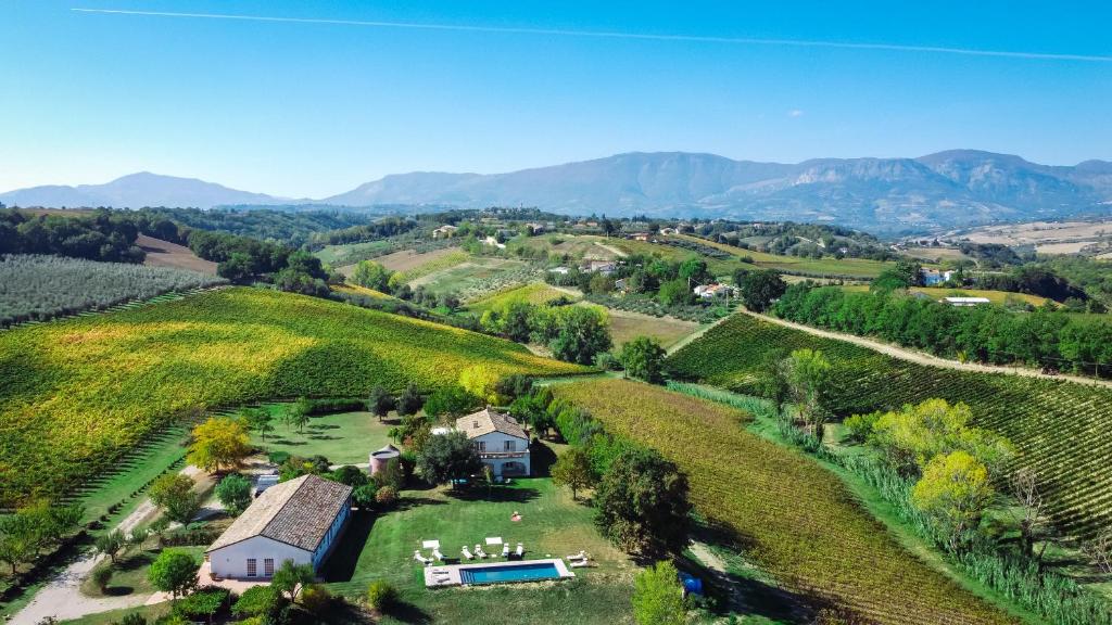 una vista aérea de un viñedo con una casa en el medio en LA CASA NEI VIGNETI 10, Emma Villas, en Catignano