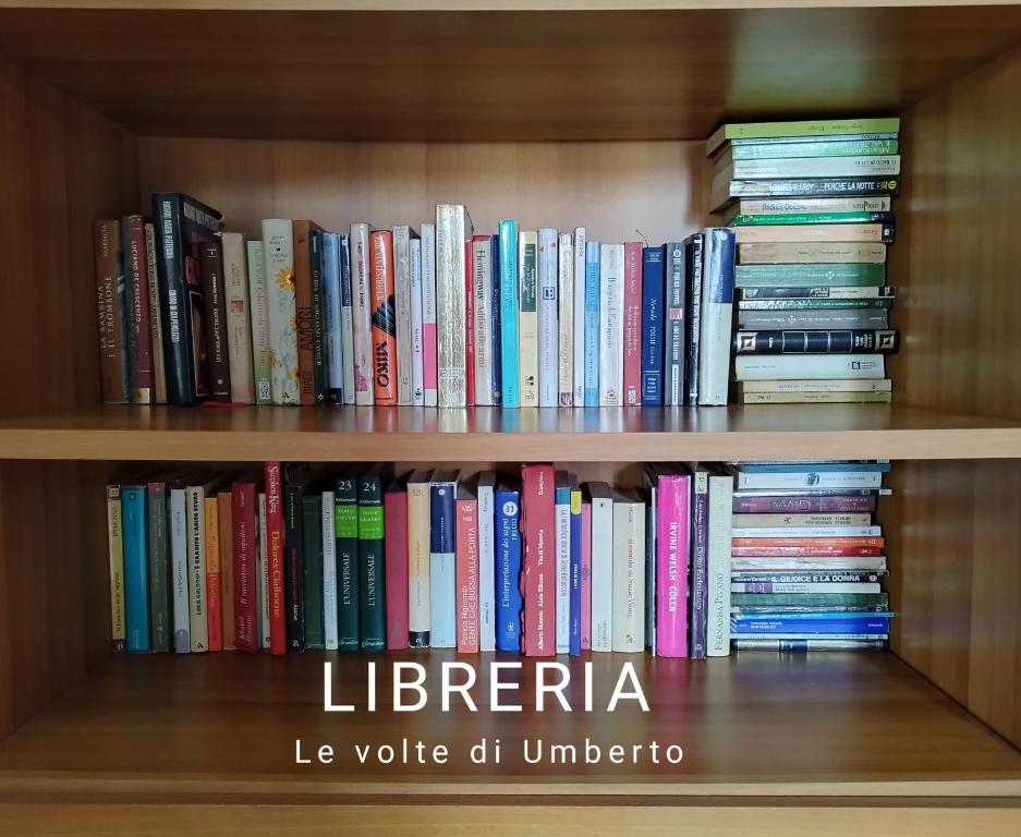 Biblioteka w apartamencie