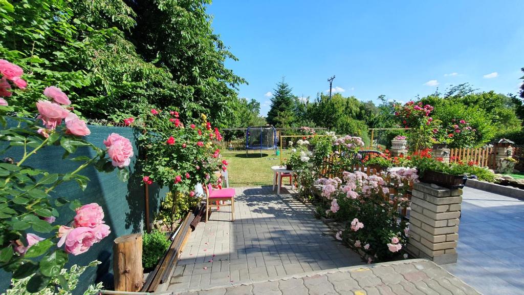 Zahrada ubytování DAVID HOME 56