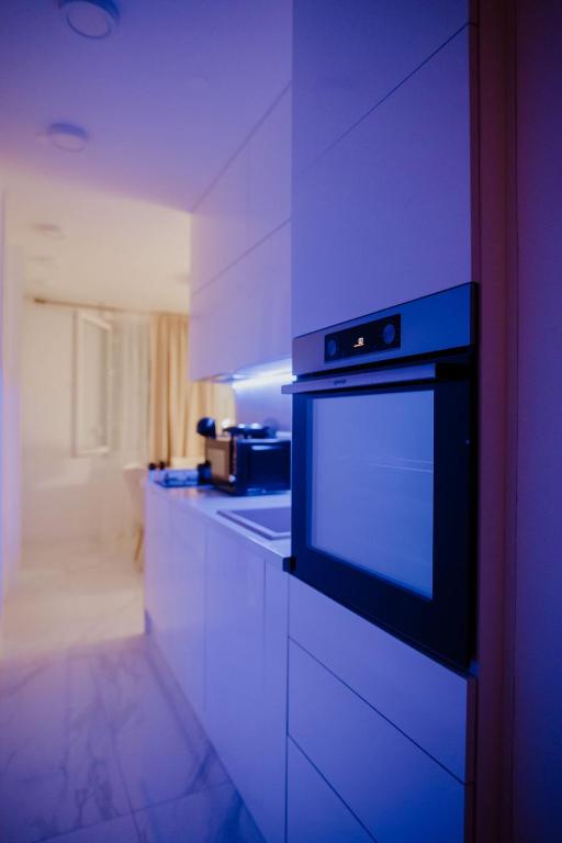 Kuchyň nebo kuchyňský kout v ubytování Apartman 007