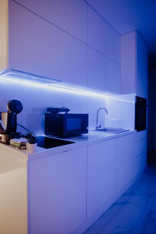 Kuchyň nebo kuchyňský kout v ubytování Apartman 007