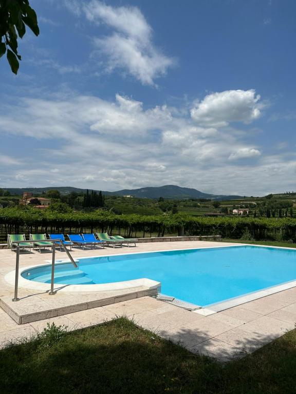 a large swimming pool with lounge chairs next to it at Agriturismo Fioravante in San Pietro in Cariano