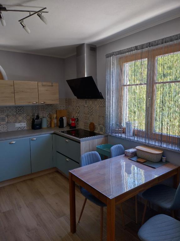 Kuchyň nebo kuchyňský kout v ubytování Ferienhaus Anna Seelach