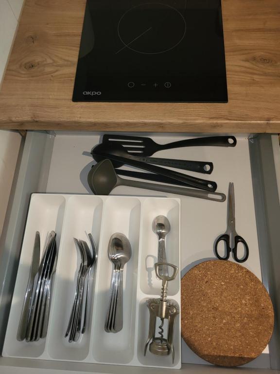 Kuchyň nebo kuchyňský kout v ubytování Apartamenty Willove Wzgórze