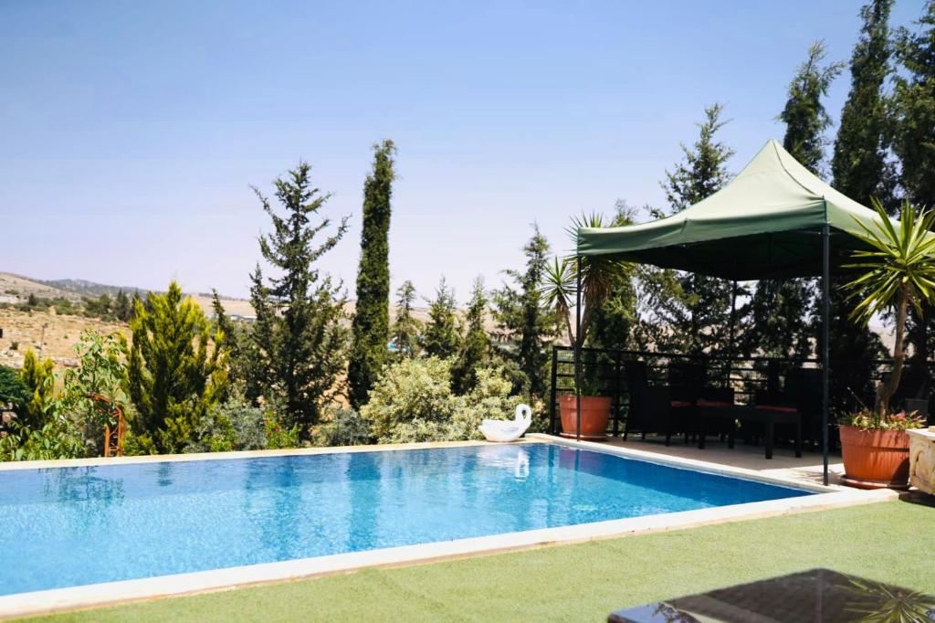 a swimming pool in a yard with an umbrella at Green Farm in Jerash
