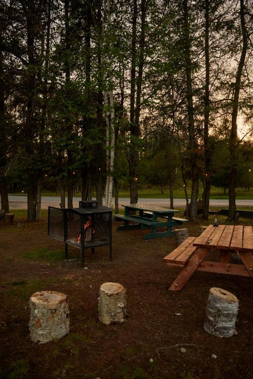 Příroda nedaleko luxury tent