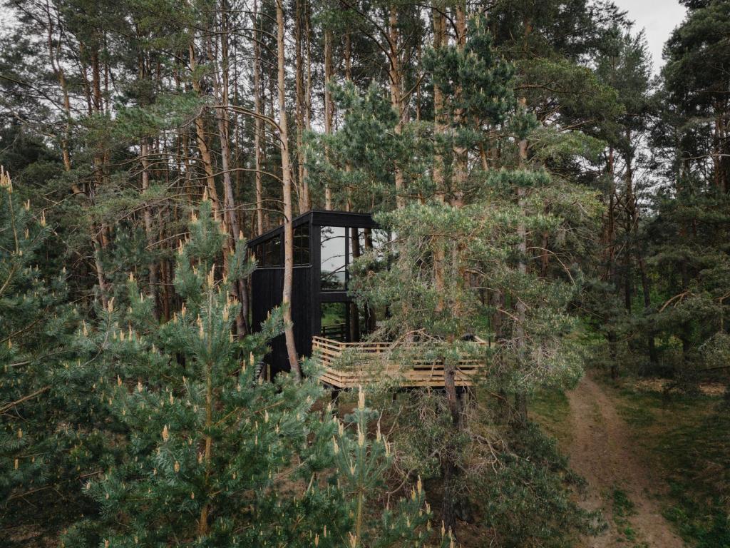 ユルバルカスにあるTreehouse Virš Bedugnėsの森の中に腰掛けベンチ