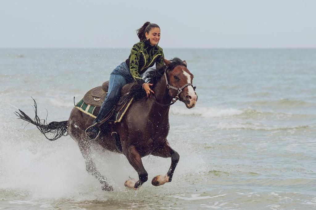 Derechos de imagen reservados por Booking.com