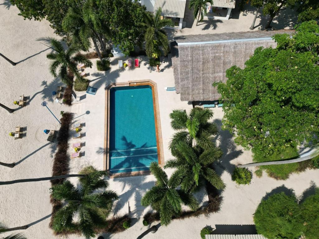 an overhead view of a swimming pool on a beach with palm trees at Lime N Soda Beachfront Resort in Thongsala