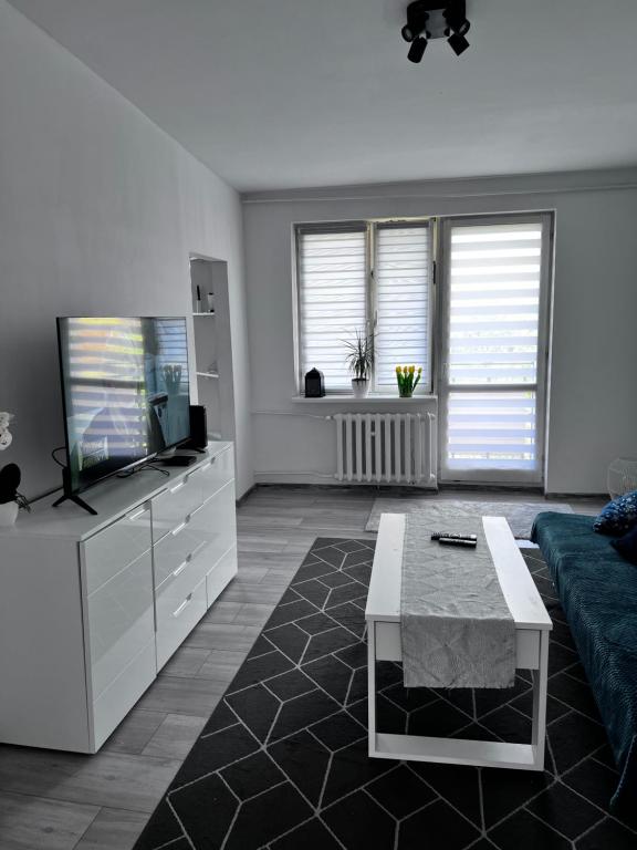 een woonkamer met een bank en een tv bij Apartament 33 in Bełchatów