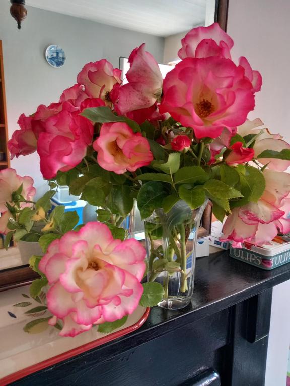 May Rose Cottage