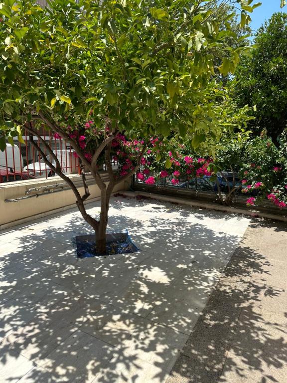 Vonkajšia záhrada v ubytovaní Capital apartment next to Metro station with parking spot to explore Athens