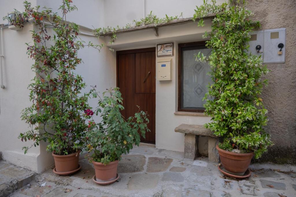 Zahrada ubytování B&B Dimora Cigno