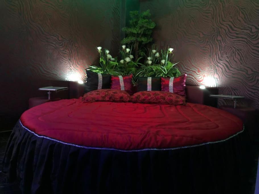 un lit rouge avec des plantes au-dessus dans l'établissement DEVILTHON SUITE NETTUNO, à Nettuno