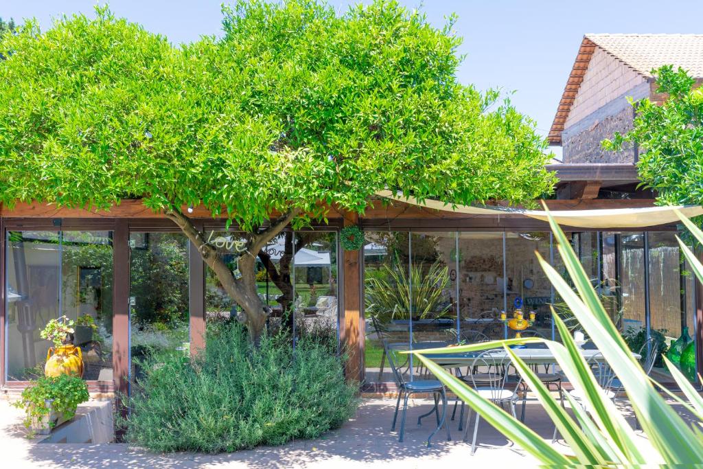 um restaurante com mesas e árvores em frente a um edifício em Cantine Cipri Resort em Palmi