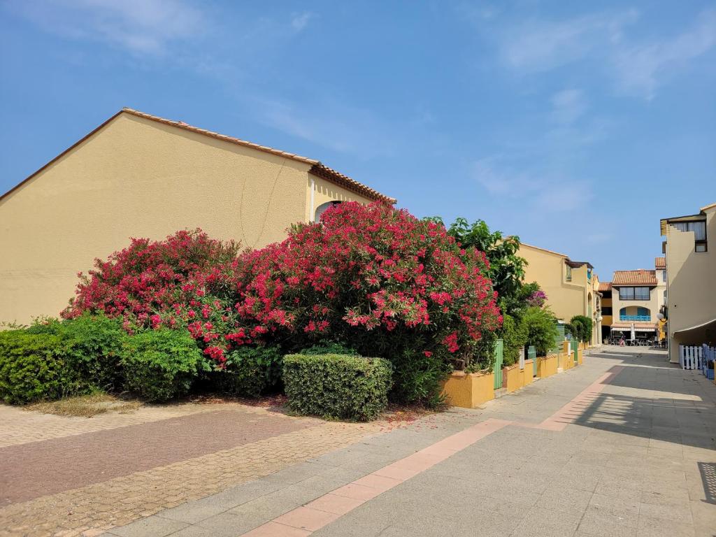 Une rangée de buissons avec des fleurs roses à côté d'un bâtiment dans l'établissement T3 vue superbe à 5 mns de la plage avec wifi parking gratuit, au Barcarès