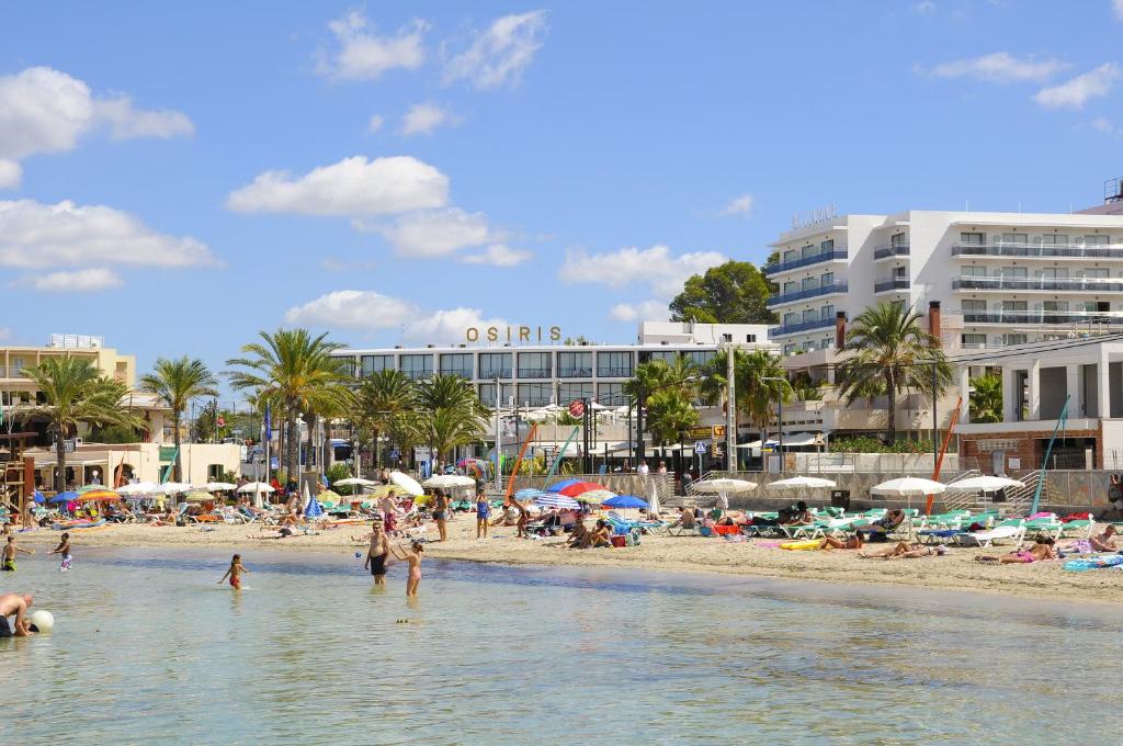 eine Gruppe von Menschen am Strand im Wasser in der Unterkunft Hotel Osiris Ibiza in Sant Antoni de Portmany