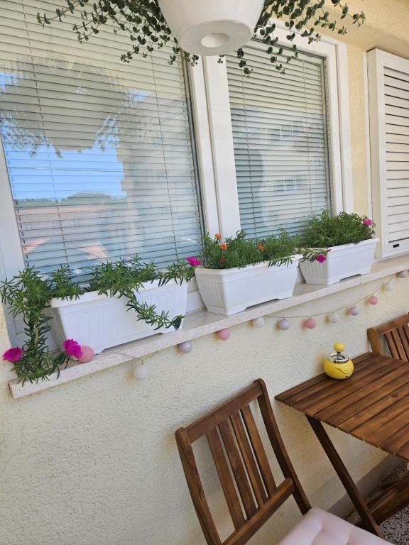Balkón nebo terasa v ubytování Apartman Noa